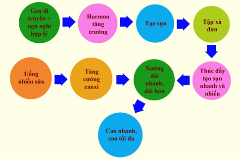 tiện dụng việc tập xà đơn